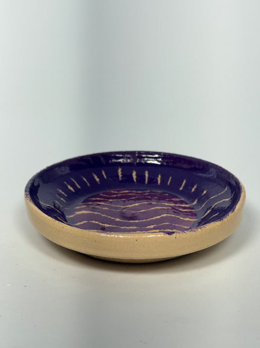 Purple Wave Plate