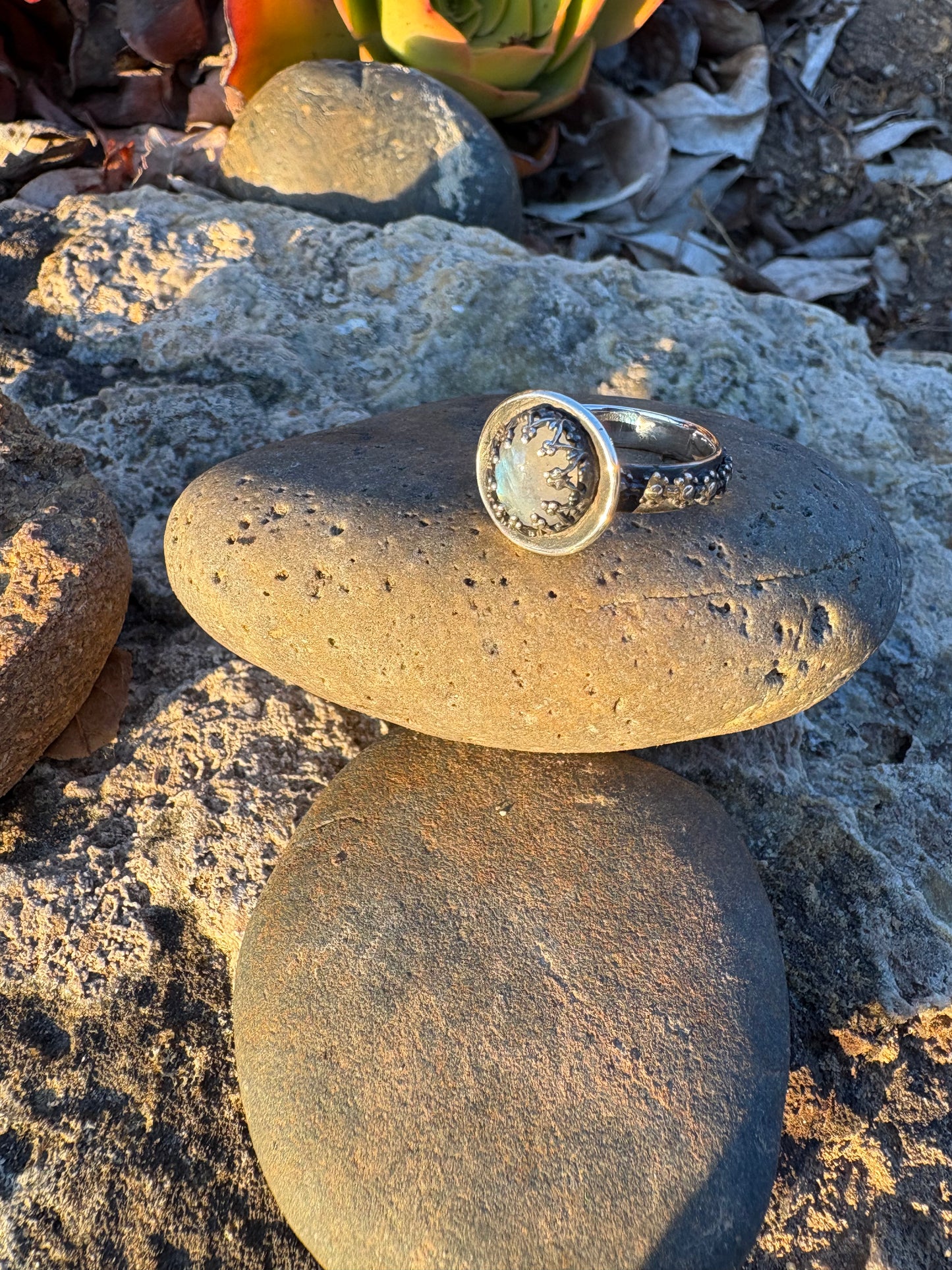 Moonlit Night: Moonstone Silver Star Ring