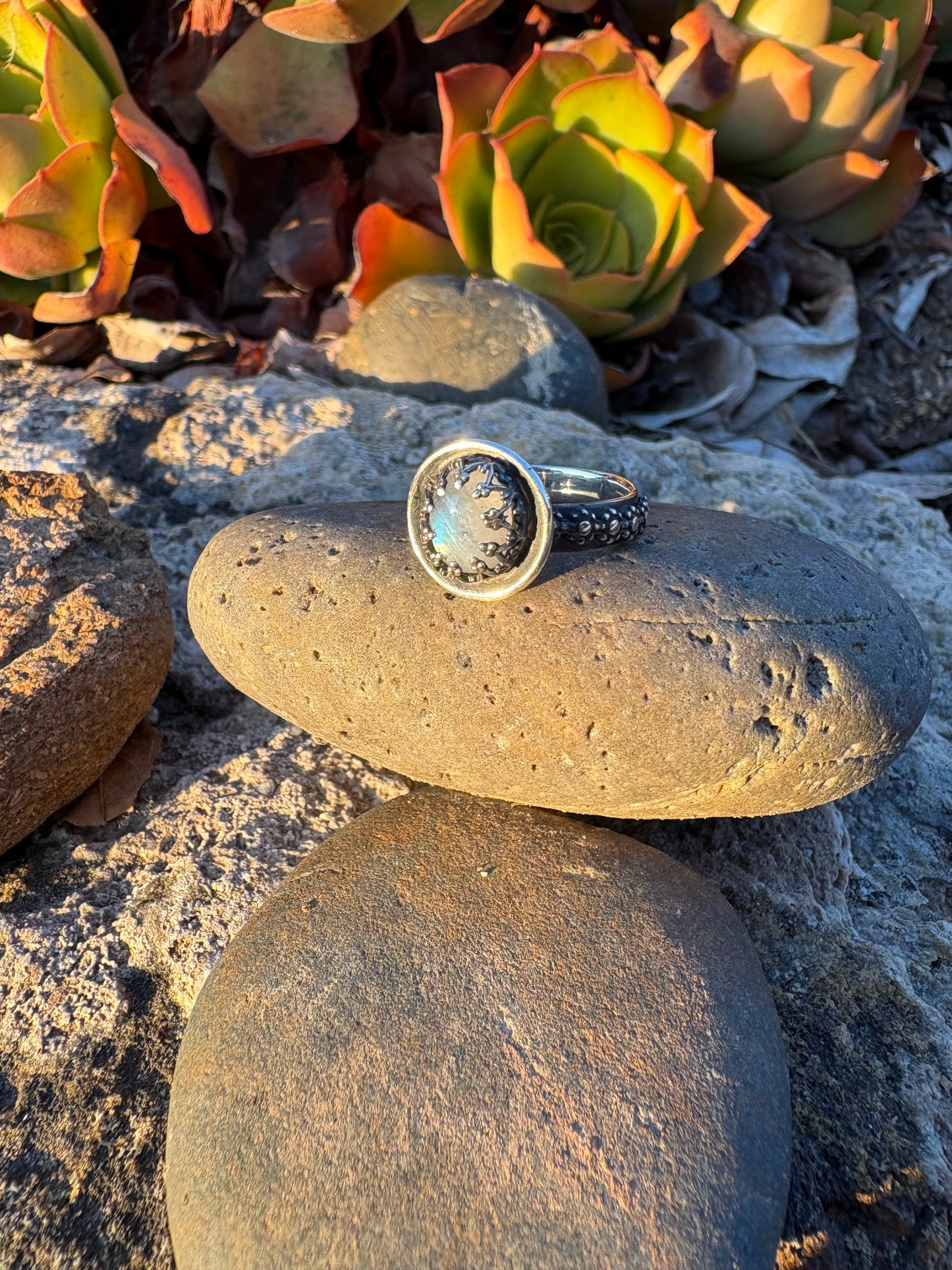 Moonlit Night: Moonstone Silver Star Ring