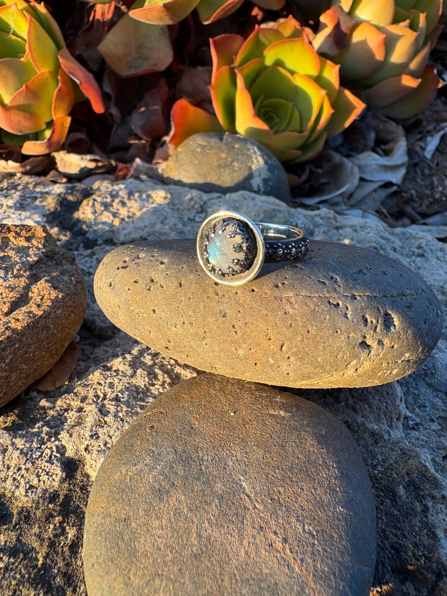 Moonlit Night: Moonstone Silver Star Ring