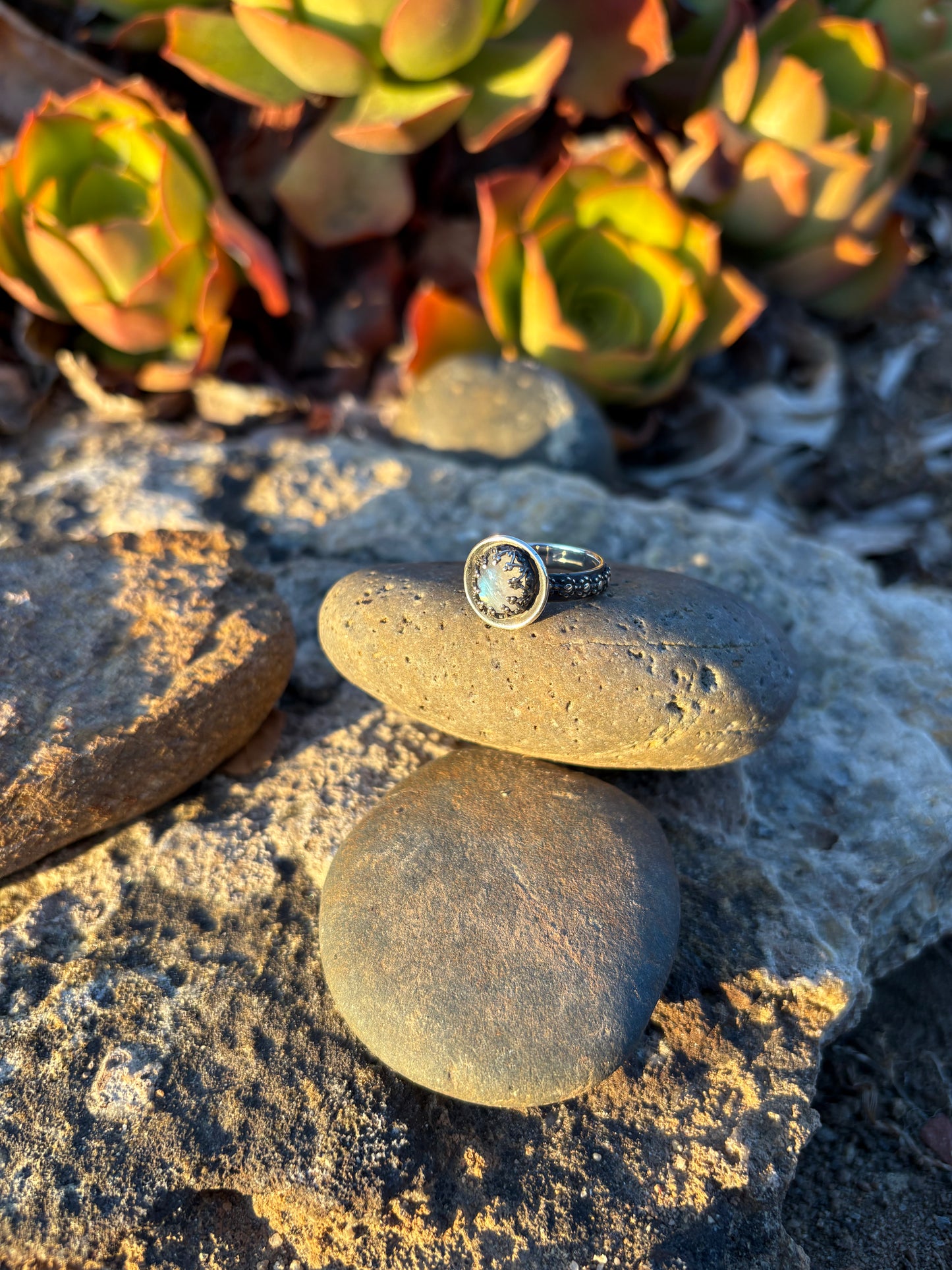 Moonlit Night: Moonstone Silver Star Ring