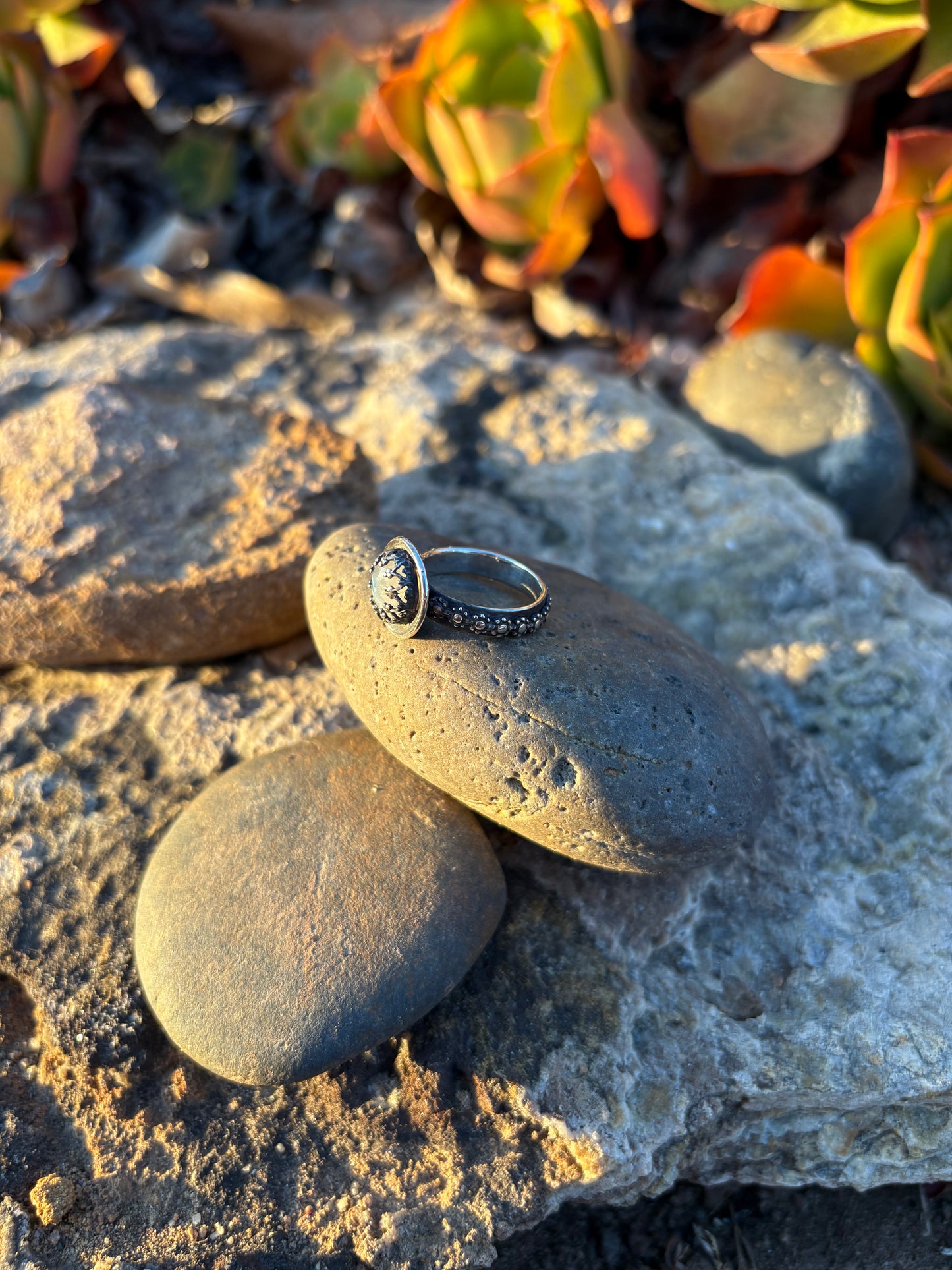 Moonlit Night: Moonstone Silver Star Ring