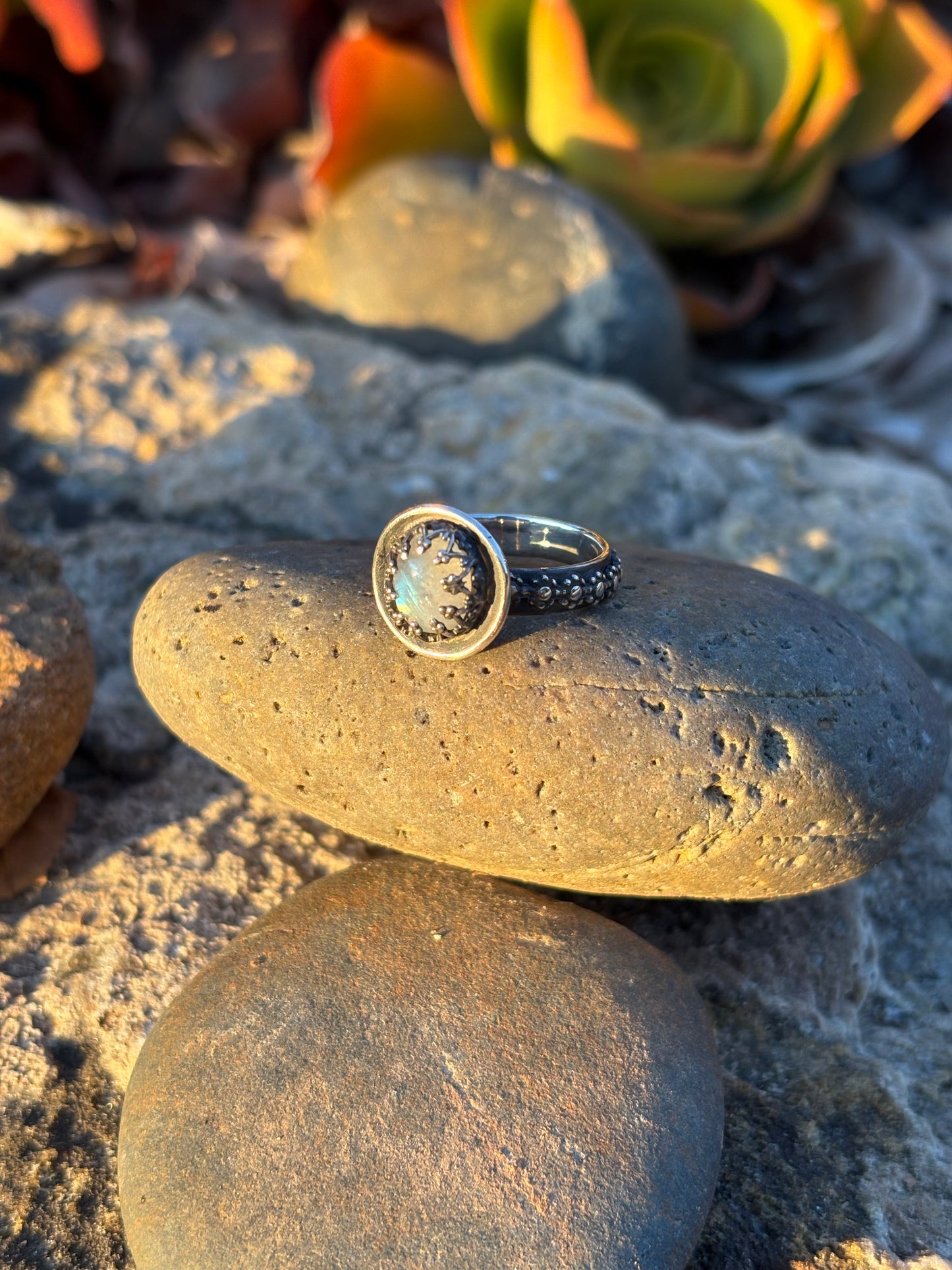 Moonlit Night: Moonstone Silver Star Ring
