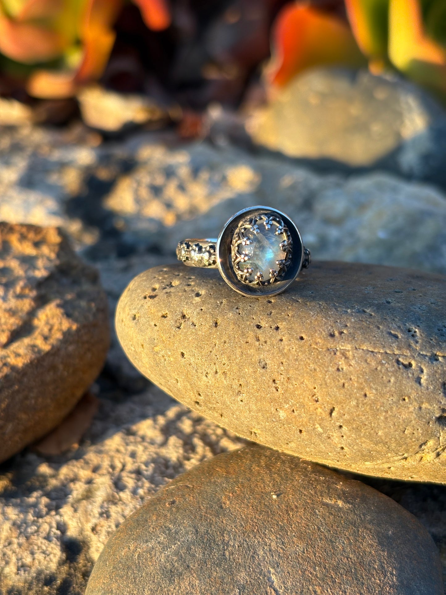 Moonlit Night: Moonstone Silver Star Ring