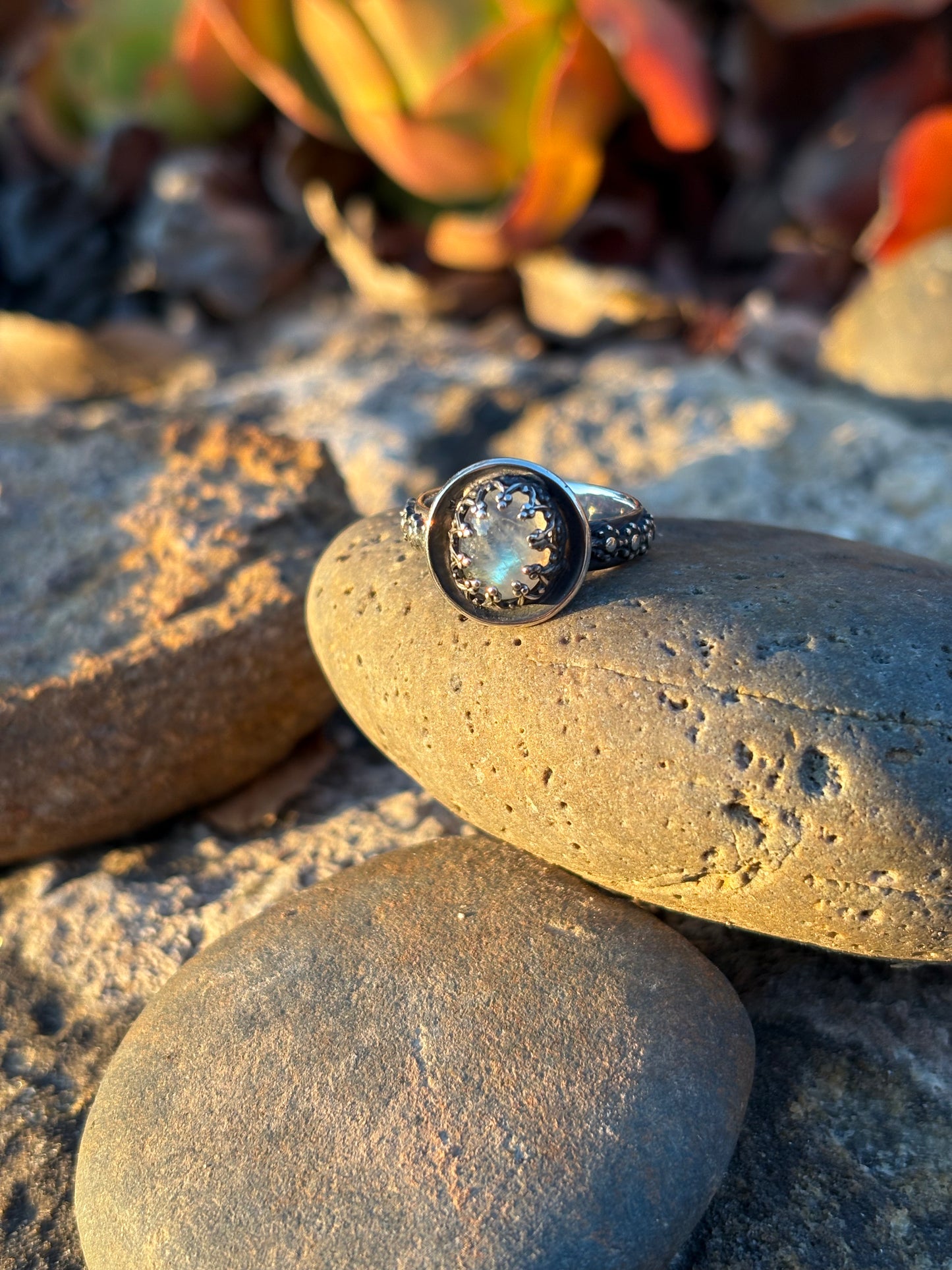 Moonlit Night: Moonstone Silver Star Ring