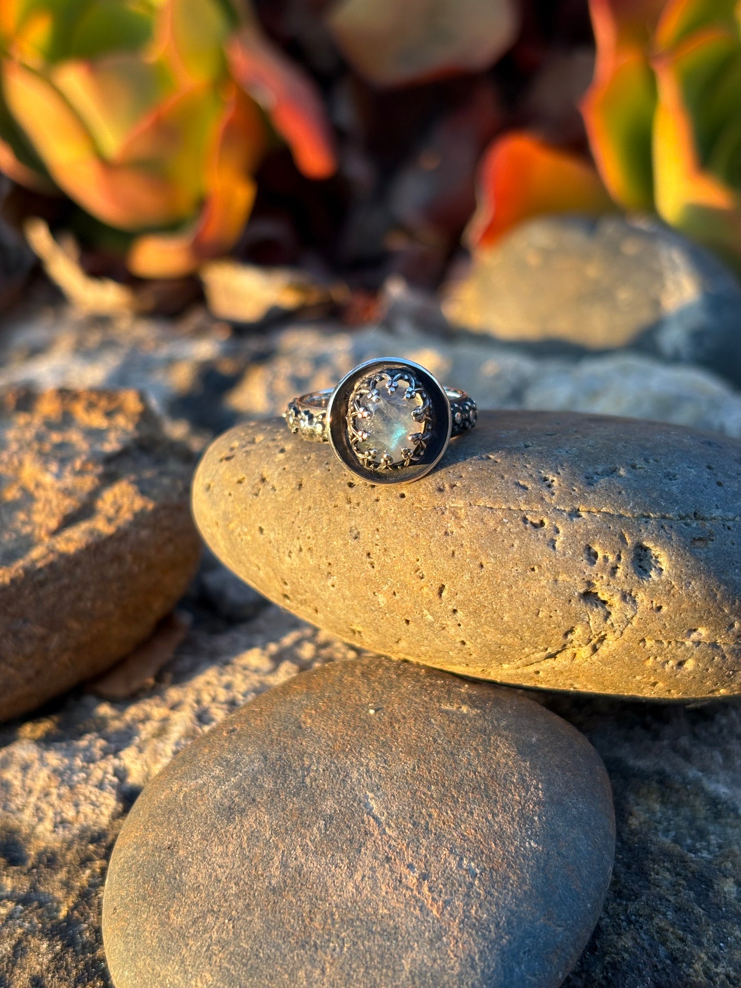 Moonlit Night: Moonstone Silver Star Ring