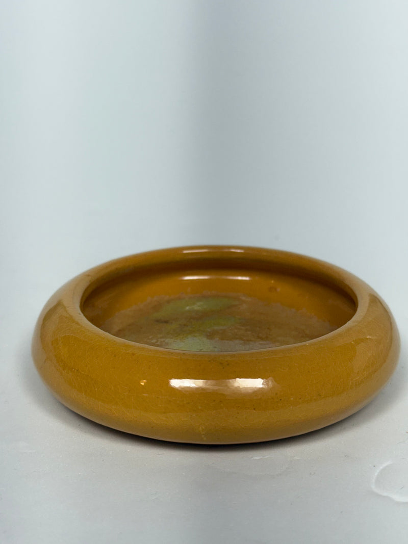 Yellow Mini Plate